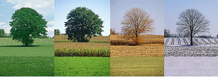 《暗示》Steam页面上线 下楼梯视角恐怖新游